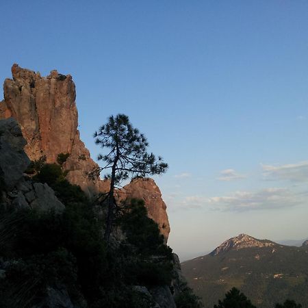 Appartamento Casa De La Santa Moratalla  Esterno foto